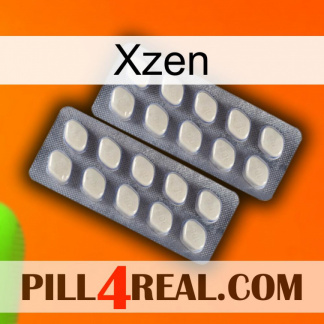 Xzen 07